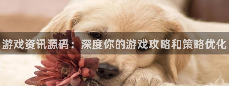 天美娱乐登陆测速：游戏资讯源码：深度你的游戏攻略和策略优化