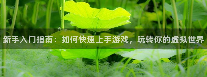 天美娱乐官网：新手入门指南：如何快速上手游戏，玩转你的虚拟世