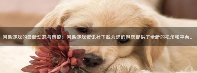 天美娱乐注册地址：网易游戏的最新动态与策略：网易游戏资讯社下