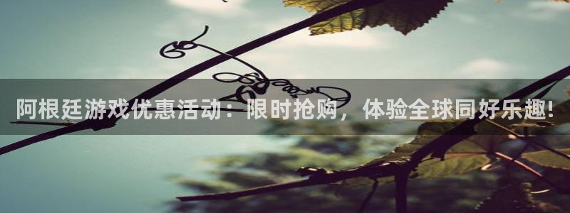 天美娱乐什么意思：阿根廷游戏优惠活动：限时抢购，体验全球同好