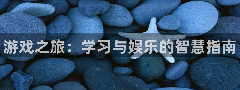 天美娱乐登陆地址：游戏之旅：学习与娱乐的智慧指南