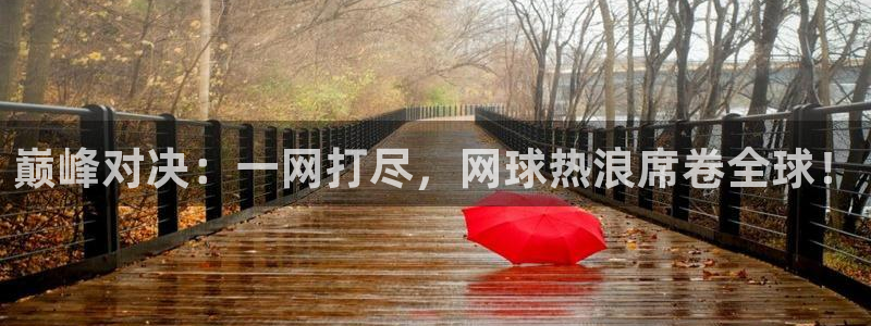 雨燕nba体育直播：巅峰对决：一网打尽，网球热浪席卷全球！