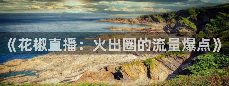 360雨燕直播体育：《花椒直播：火出圈的流量爆点》