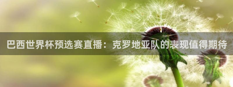 雨燕直播足球免费高清观看