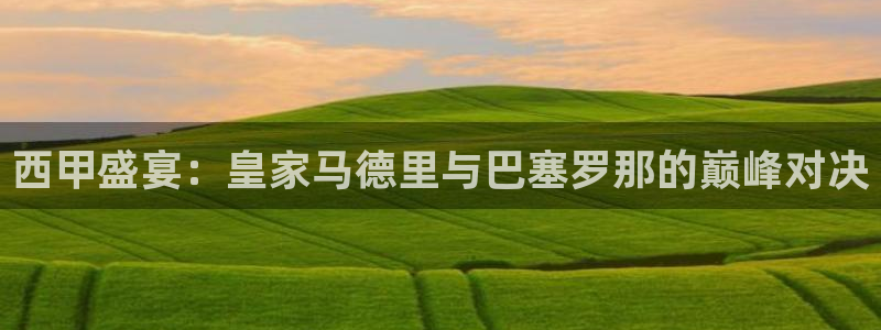 雨燕比赛直播