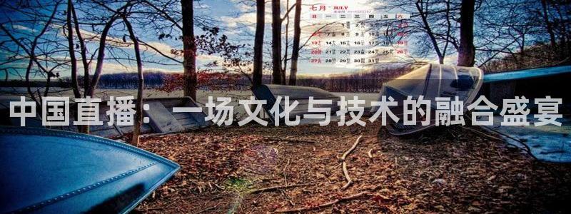雨燕体育赛事直播：中国直播：一场文化与技术的融合盛宴