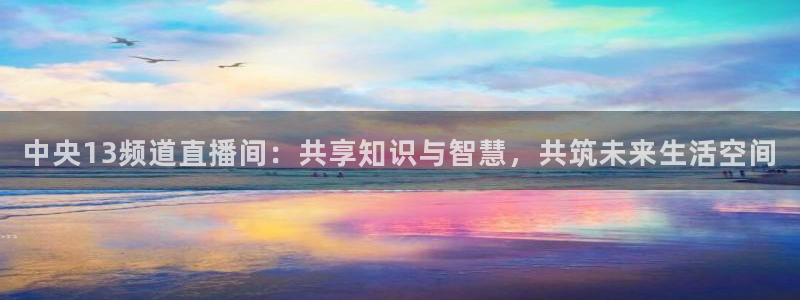 雨燕篮球直播在线播放：中央13频道直播间：共享知识与智慧，共筑未来生活空间