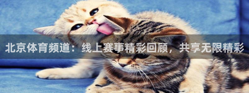 雨燕360体育nba直播免费观看在线：北京体育频道：线上赛事精彩回顾，共享无限精彩
