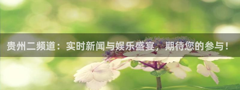 免费雨燕体育直播在线看