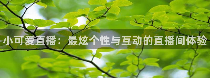 雨燕360体育直播篮球直播