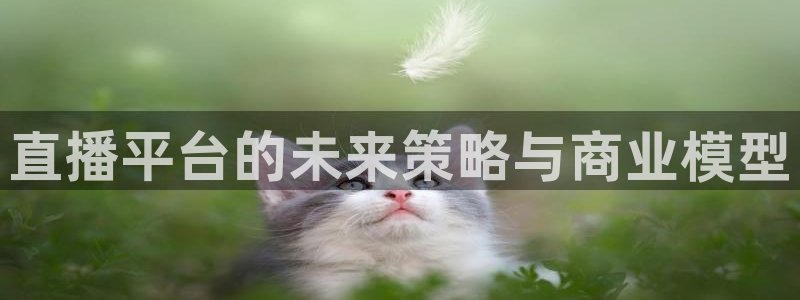 nba雨燕直播免费高清在线