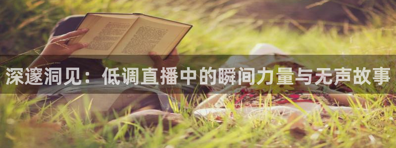 雨燕体育直播免费高清视频大全