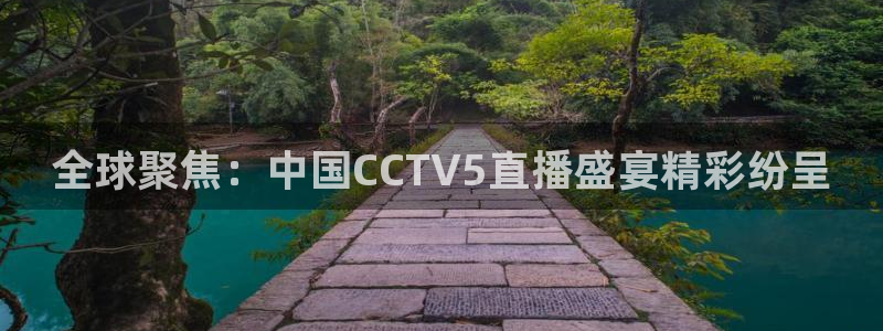 体育直播雨燕直播：全球聚焦：中国CCTV5直播盛宴精彩纷呈