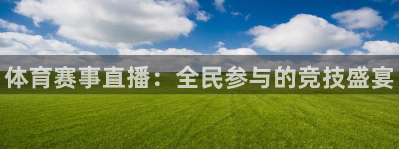 雨燕体育无插件高清直播：体育赛事直播：全民参与的竞技盛宴